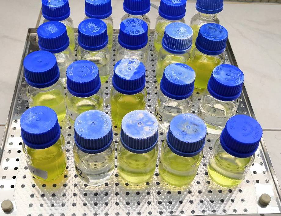 bottles with algae on a shaker