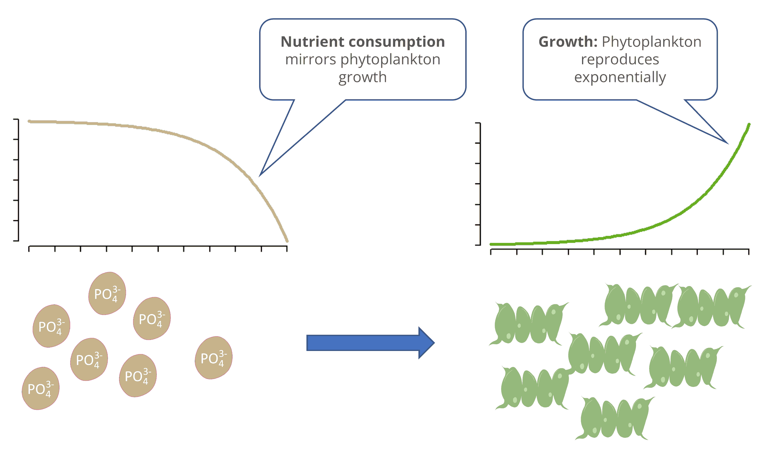 The image the temporal trend in algae abundance represented by an upward-sloping curve, while the nutrient concentration is represented by a downward-sloping S-shaped curve.